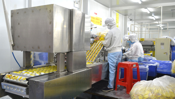 功能性粗粮饼干厂家就选广东云海游戏食品！